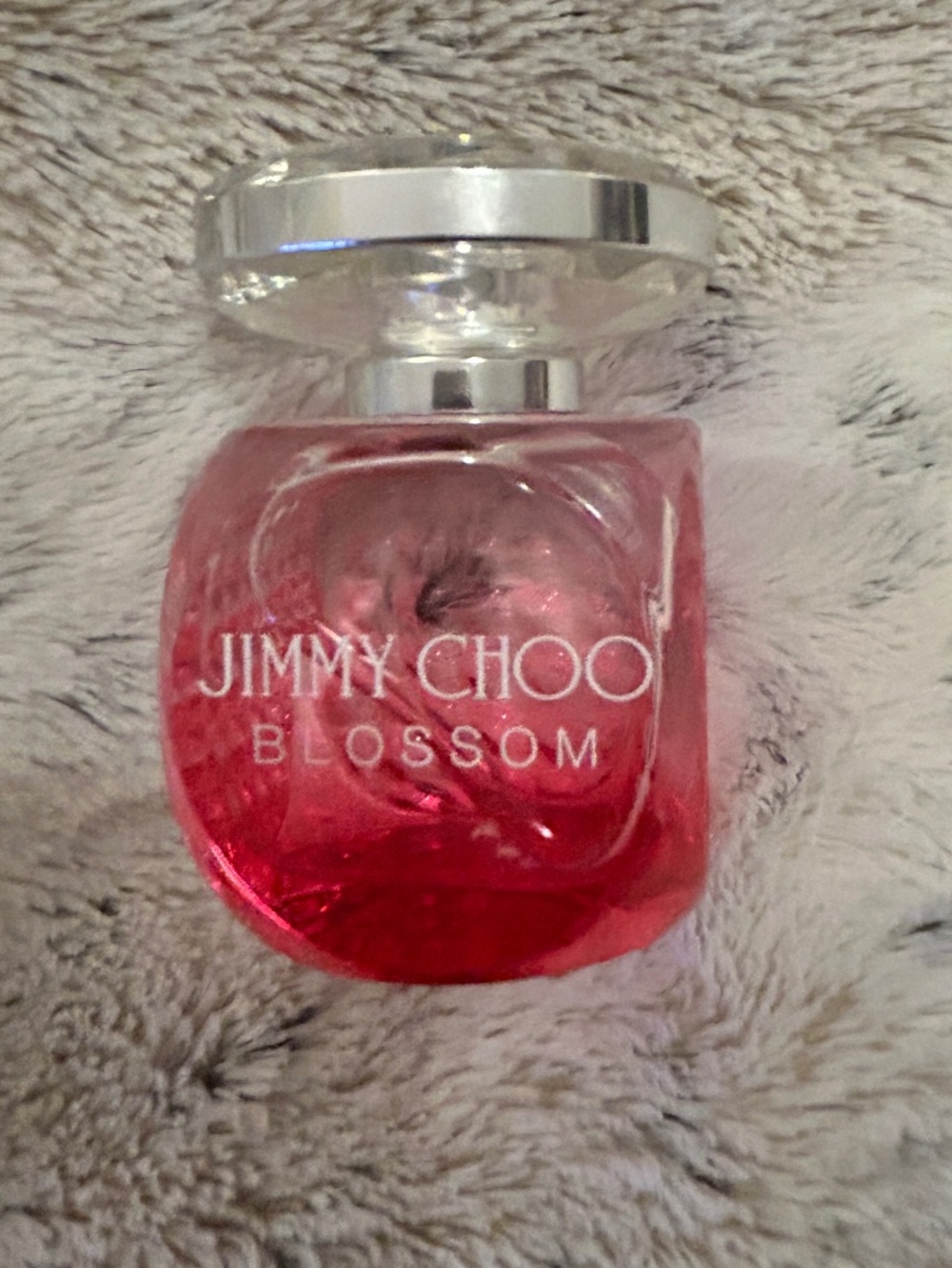 JIMMY CHOOSE BLOSSOM